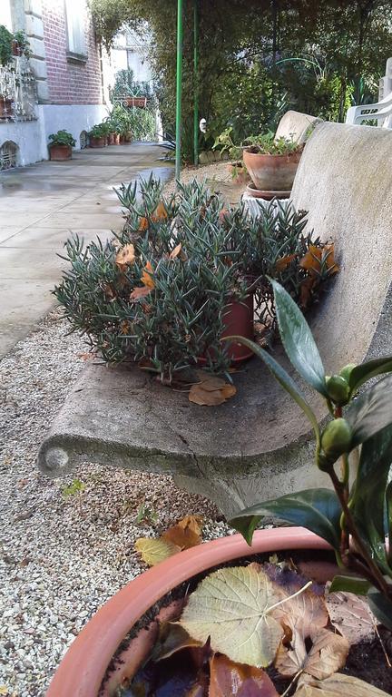 Villa Maria Bed & Breakfast, Corridonia, Marche Exteriér fotografie