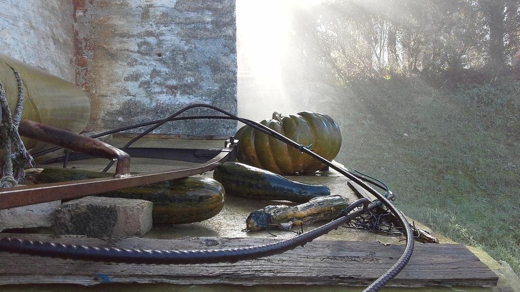 Villa Maria Bed & Breakfast, Corridonia, Marche Exteriér fotografie